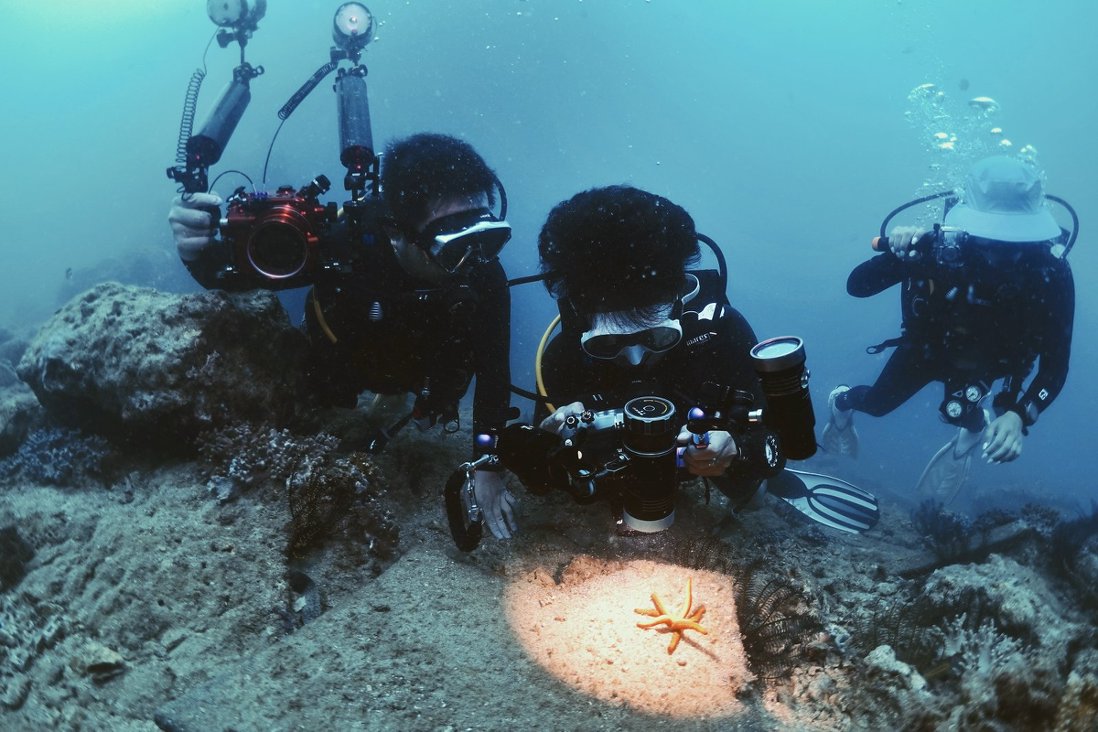 1775956010586564.jpg 5130ba9efr46374d3c1df27209ef8f8d.jpg