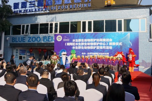 守护海洋生命|守护海洋生命，富国海底世界在行动！