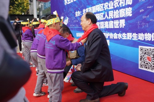 守护海洋生命|守护海洋生命，富国海底世界在行动！