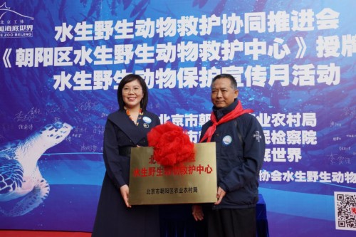 守护海洋生命|守护海洋生命，富国海底世界在行动！