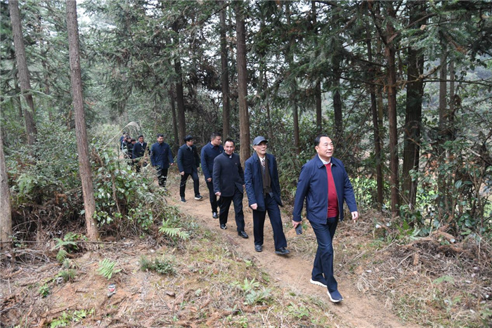 图片18.jpg