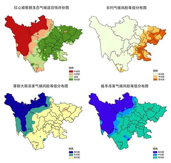 1604038191752056.jpg