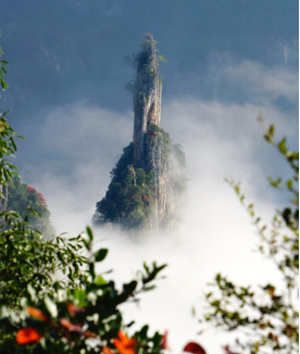 QQ截图20210707141412.png