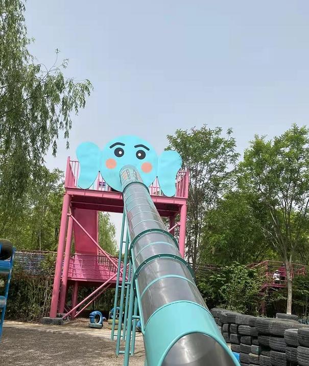 55.jpg