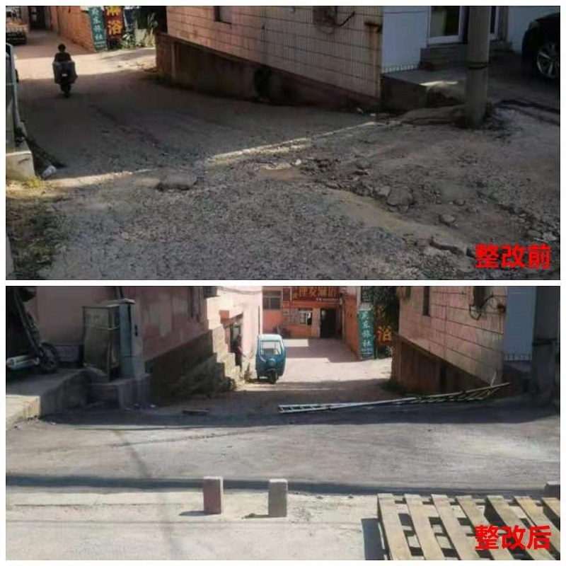8431.jpg