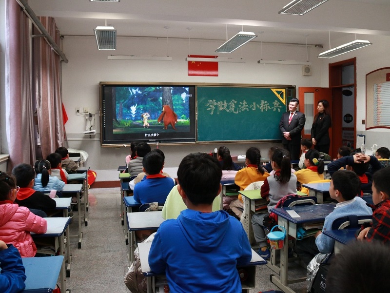8447.jpg