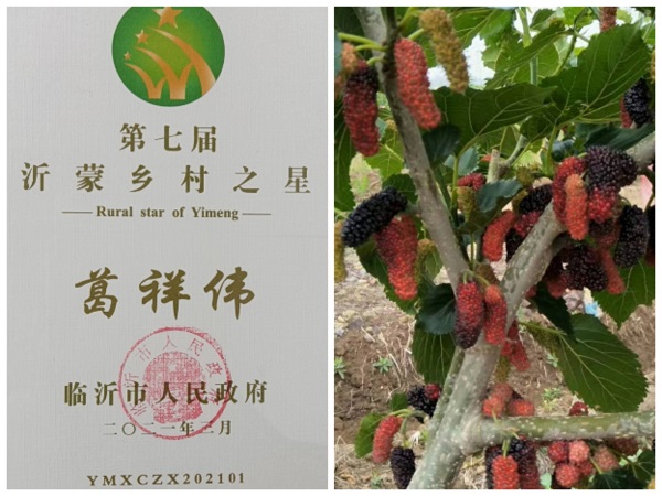 葛洪伟2.jpg