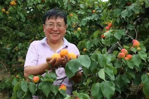 新阳图片3.jpg