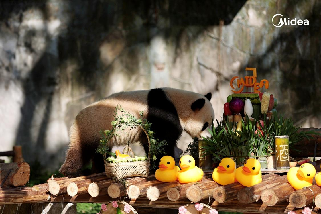 图片2.png