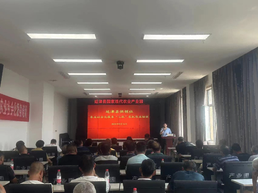 图片 1.png