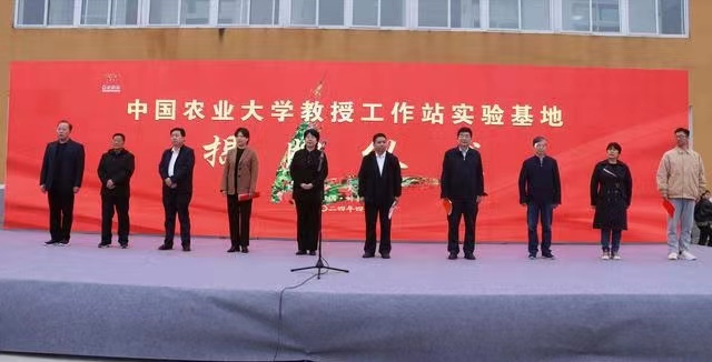 图片 1.png