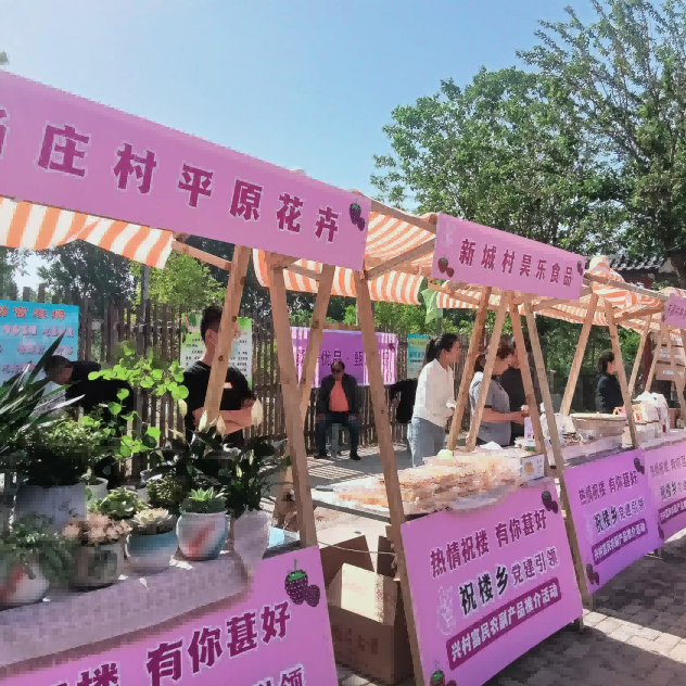 图片 5.png