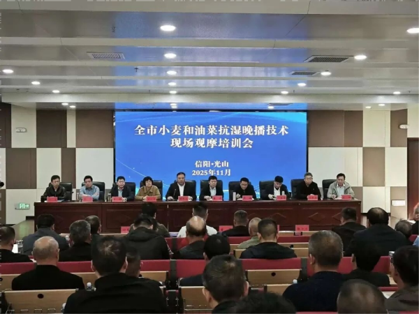 1762391061999769.png 图片5.png