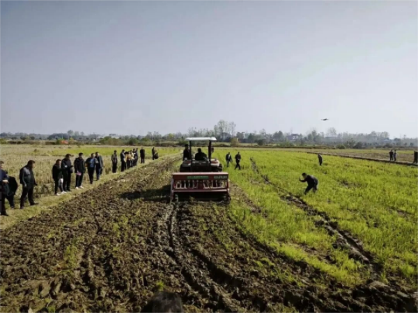 1762391268358880.png 图片8.png