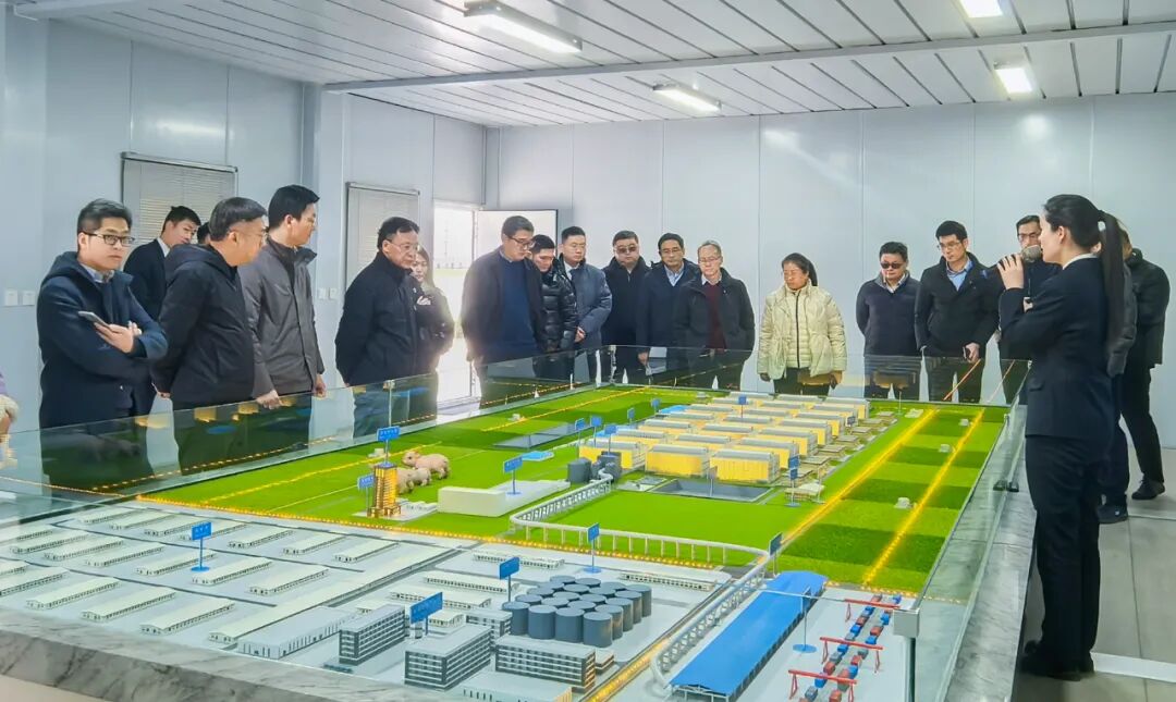 1767060867862187.jpg 640 (7).jpg