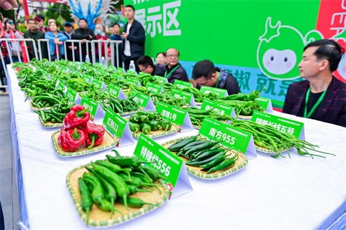 图片8.png