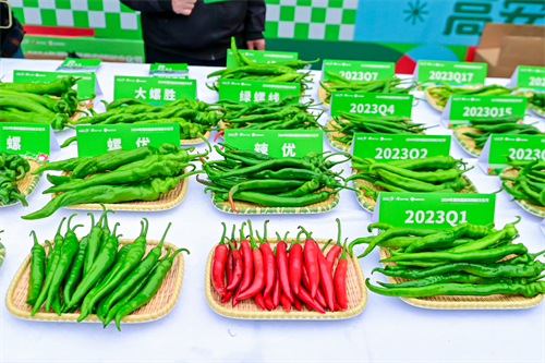 图片10.png