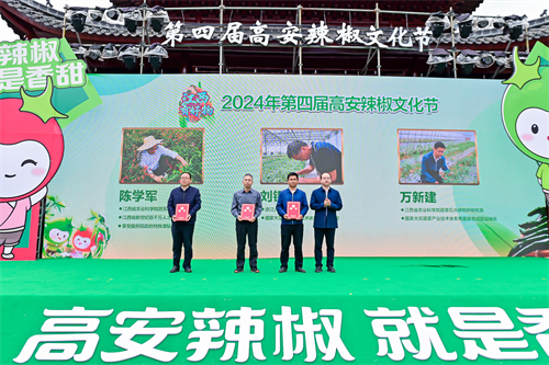 图片12.png