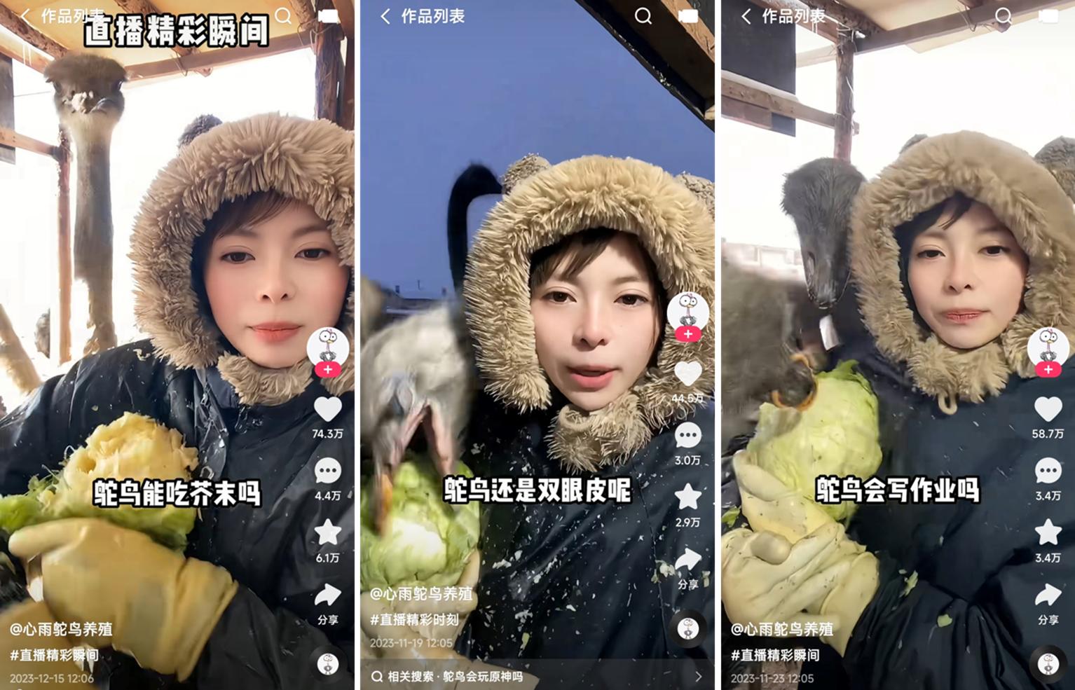 图片5.jpg