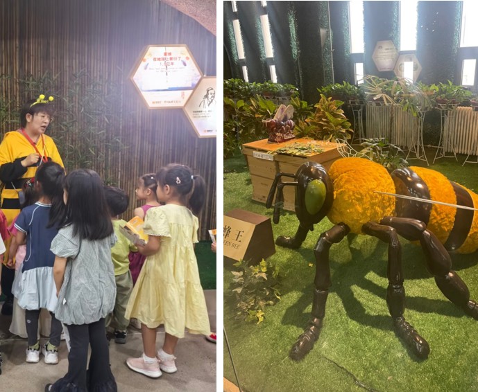 1773566734724286.jpg 2.jpg