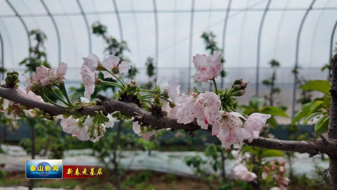 1772775772576662.png 图片1.png