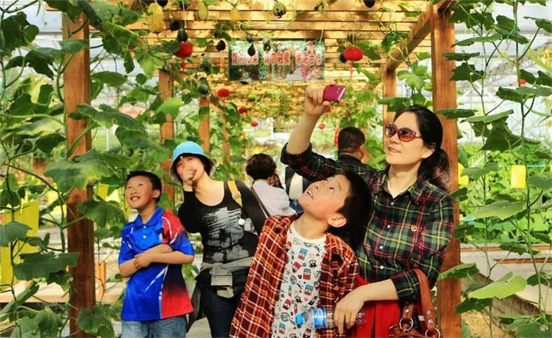 1667886212692544.jpg 图片 6.jpg