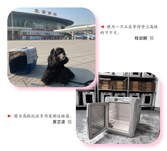 屏幕截图_16-4-2025_93832_.jpeg