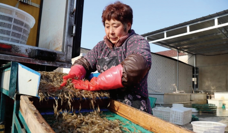 屏幕截图_26-2-2025_94234_.jpeg