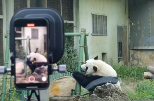 屏幕截图_21-3-2025_93515_.jpeg