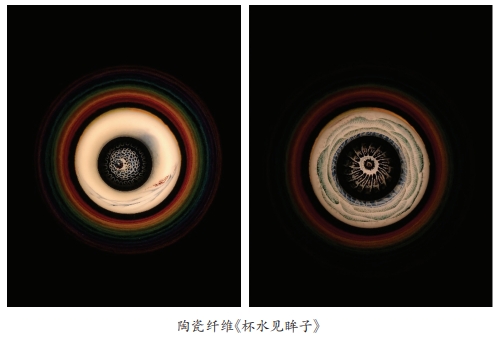 屏幕截图_28-3-2025_93123_.jpeg