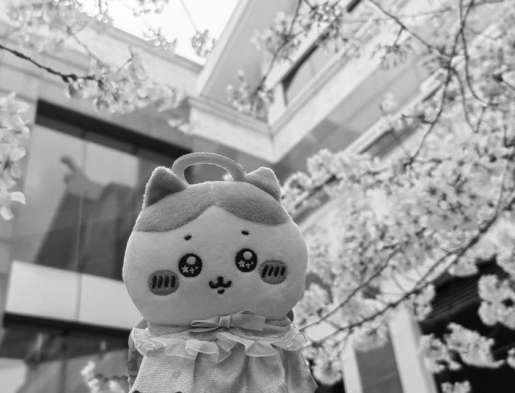 屏幕截图_18-4-2025_9372_.jpeg