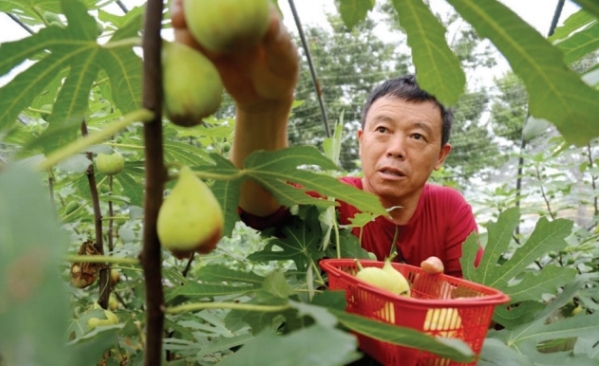 1756089039874033.jpg 微信截图_20250825103016.jpg