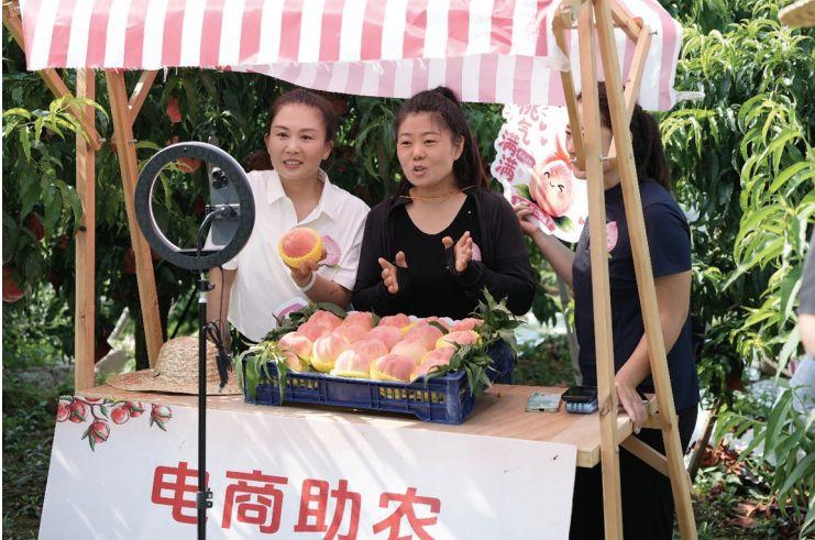 1787018020768644.jpg 截图20260818094817.jpg