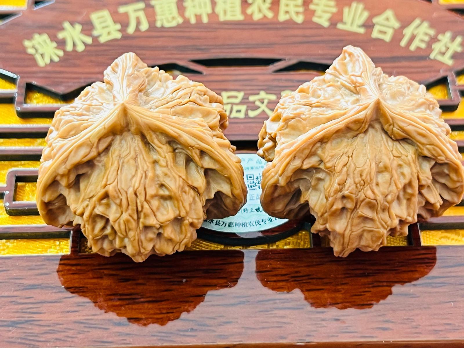 1787623380929653.jpg 14图片1.jpg