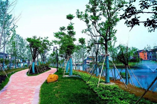 1637638411327820.jpg 图片3.jpg