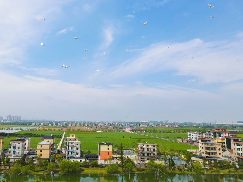1640142343841543.jpg 图片3.jpg