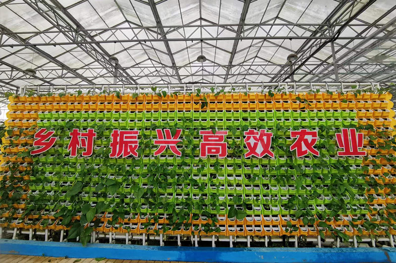 微信图片_20220701092532_副本.jpg