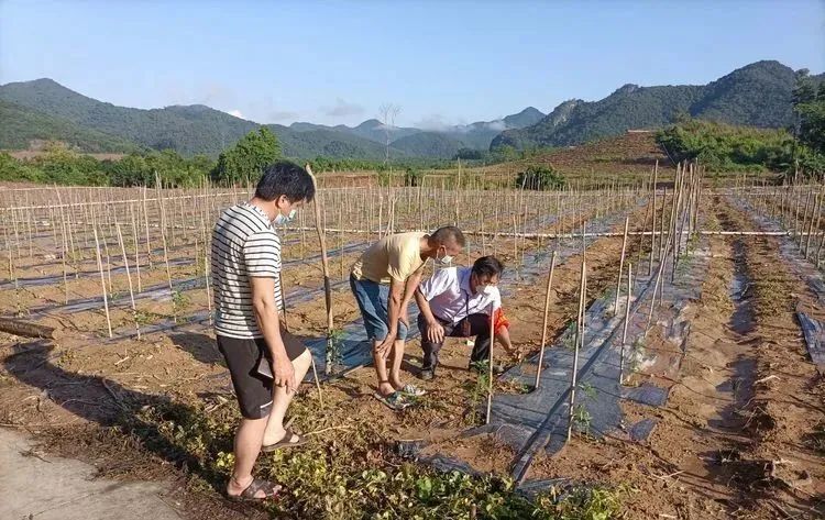 微信图片_20220905074952.jpg