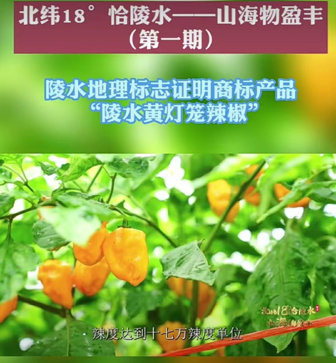 看图1.jpg