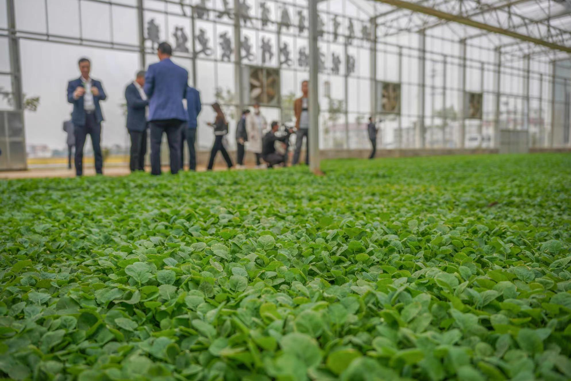 1667271635866195.jpg 1.jpg