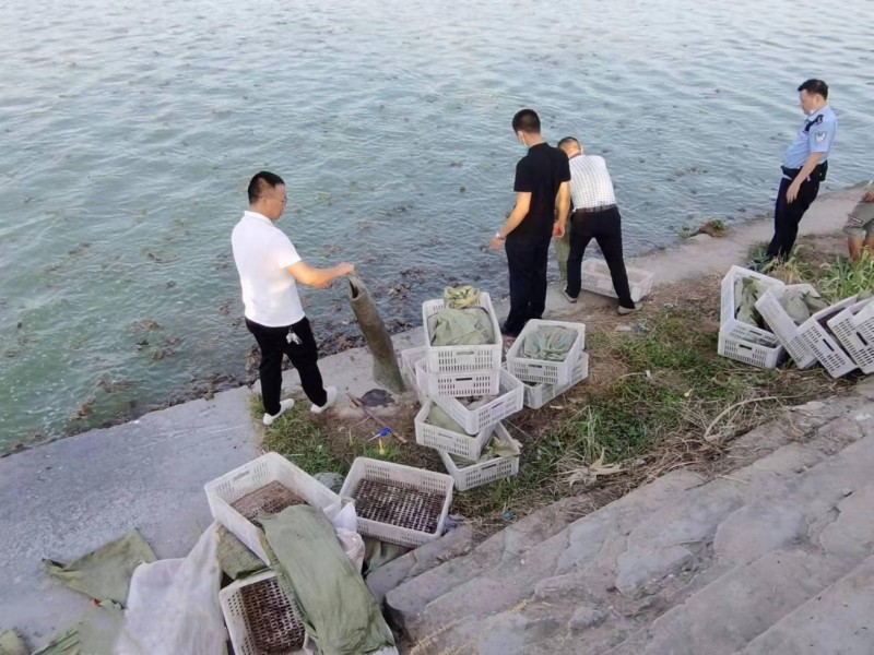 图片1.jpg