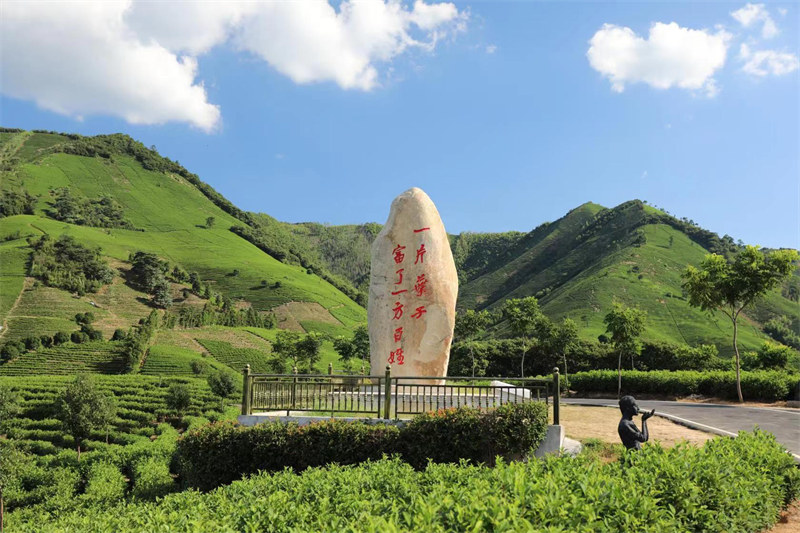 图片 3.jpg