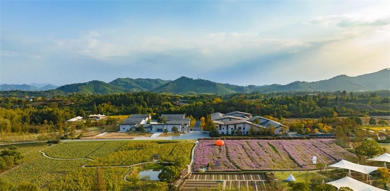 1672300697683703.jpg 图片 3.jpg