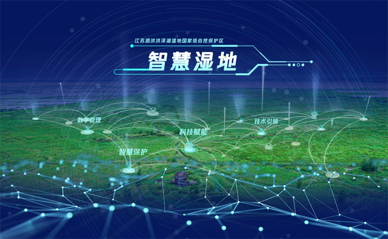 1675322896708134.jpg 图片 4.jpg