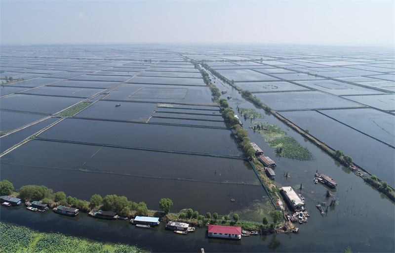 1678937756259137.jpg 图片 5.jpg