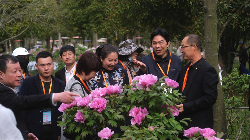 1680577974137809.jpg 图片 1.jpg