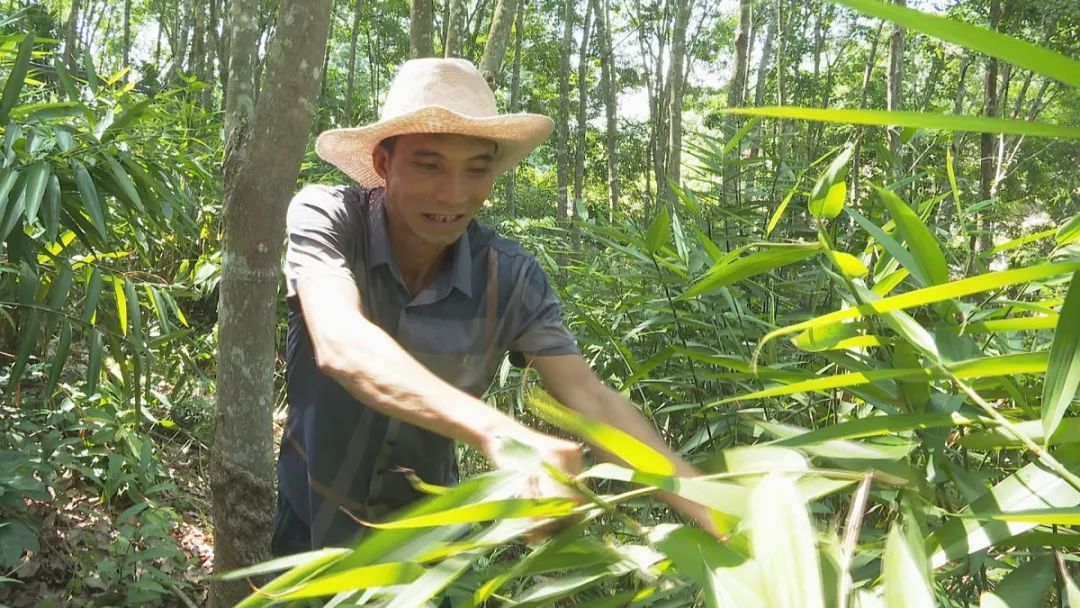 陵水群英1.jpg