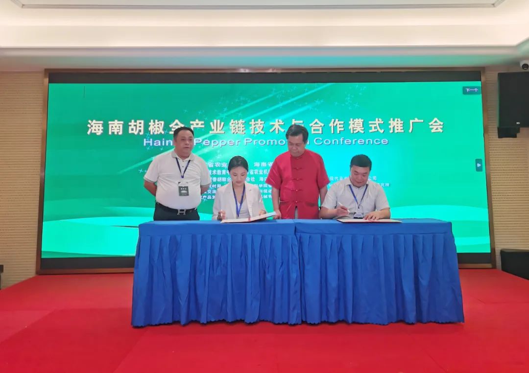 1686548326610889.jpg 胡椒2.jpg