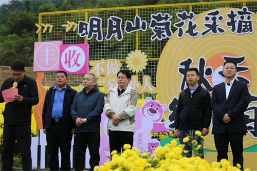 图片16.png