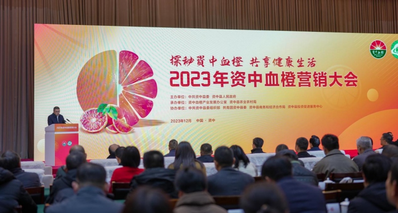 1702874822920976.jpg 县委副书记、资中经开区党工委书记戴强致辞.jpg